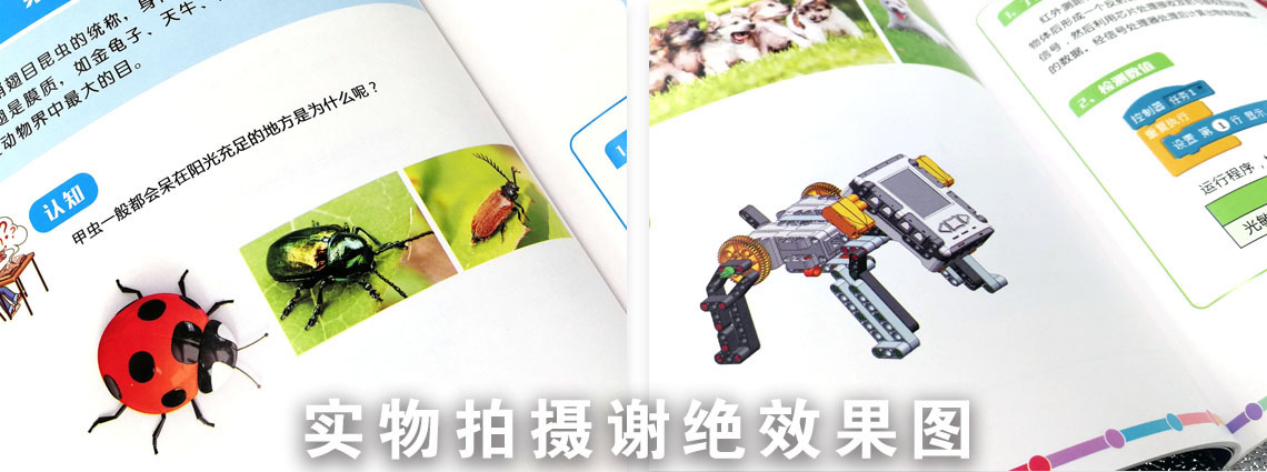 玩具畫(huà)冊(cè)詳情頁(yè)